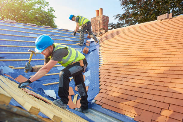 Best Skylight Installation and Repair  in Clarinda, IA